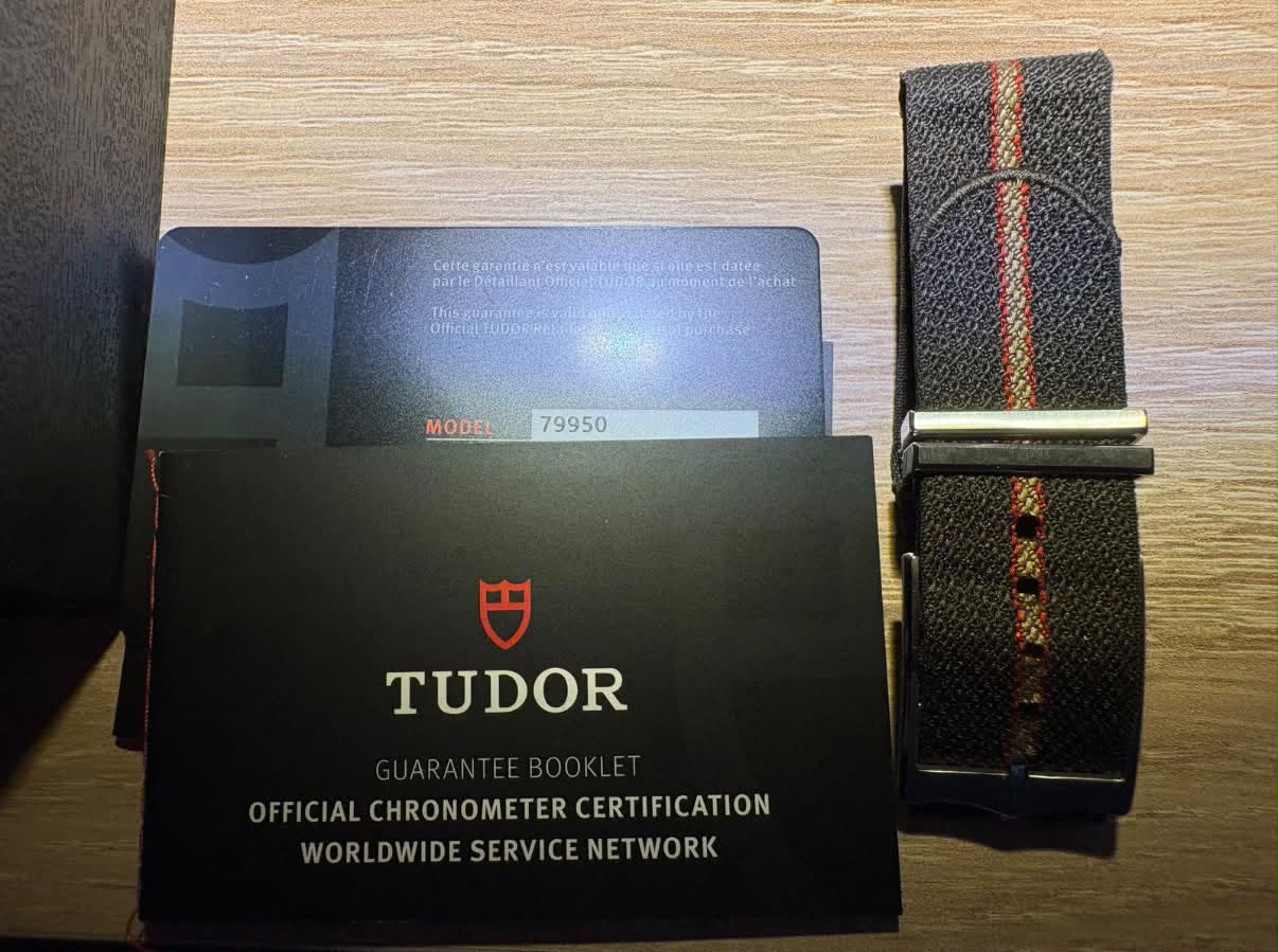 Tudor Ranger 39 mm cadran clair – Image 6